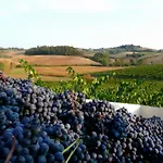Agriturismo Cetine Vecchie * Torrita di Siena