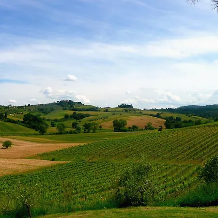 Agriturismo Cetine Vecchie 팜스테이