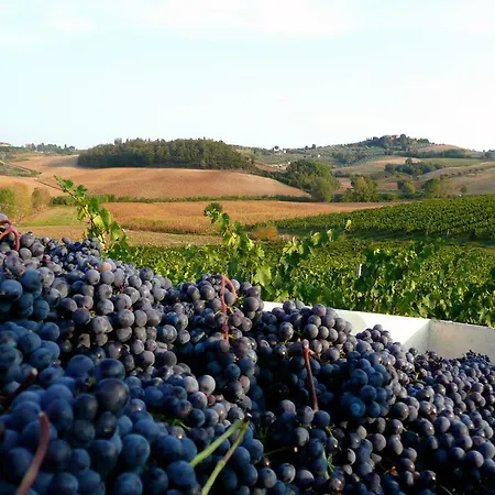 Agriturismo Cetine Vecchie * Torrita di Siena