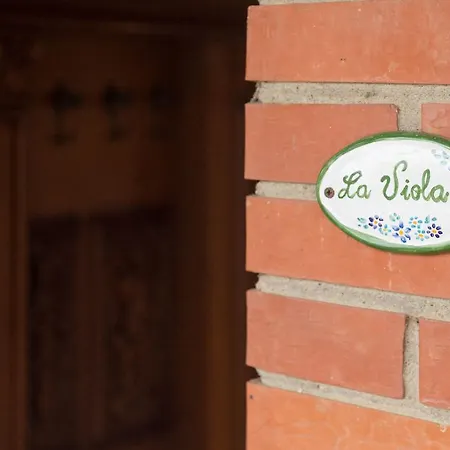 Agriturismo Cetine Vecchie 팜스테이