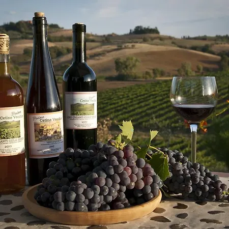 Agriturismo Cetine Vecchie 팜스테이 토리타디시에나