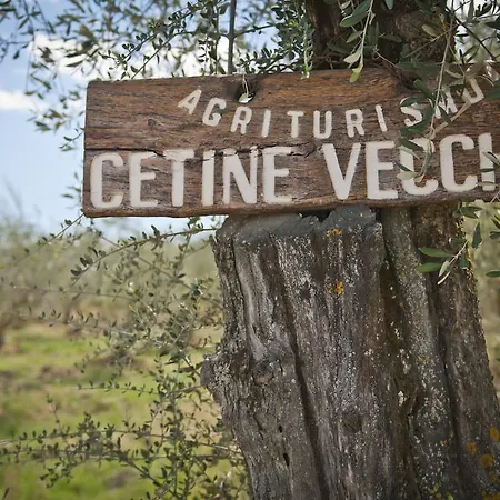 Agriturismo Cetine Vecchie 팜스테이