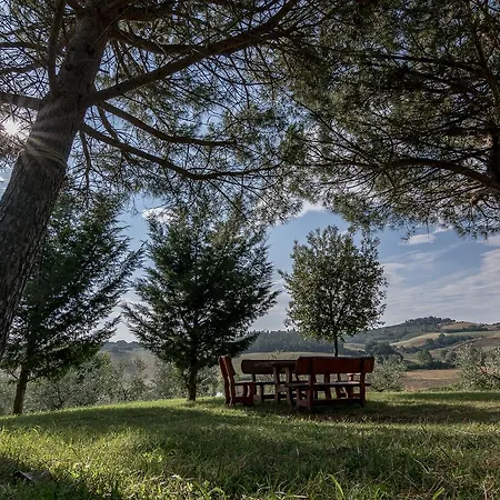 Agriturismo Cetine Vecchie 팜스테이