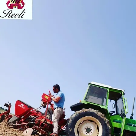 Agriturismo Cetine Vecchie 팜스테이 *