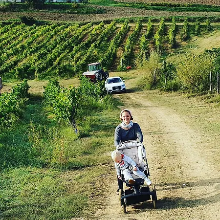 Agriturismo Cetine Vecchie 팜스테이 *